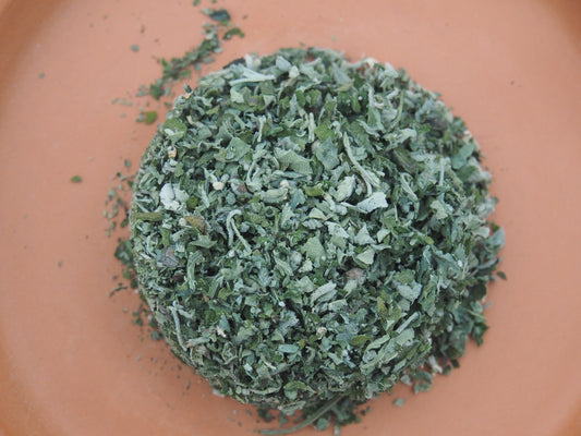 Catnip