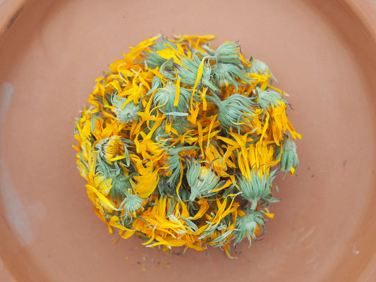 Calendula
