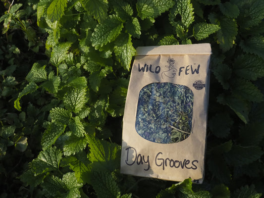 Day Grooves - Tea Blend