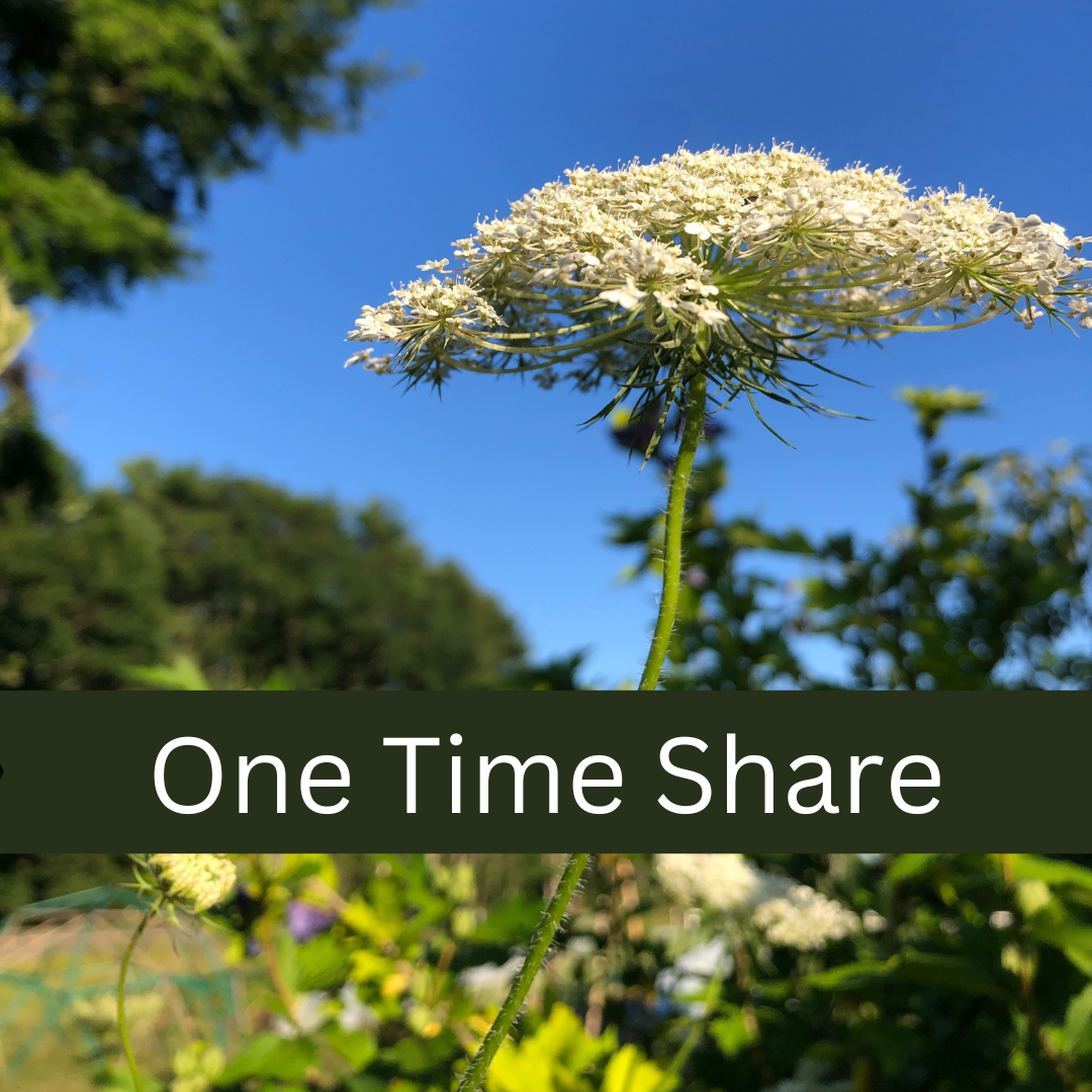 One Month Share Wild Few Herb Farm